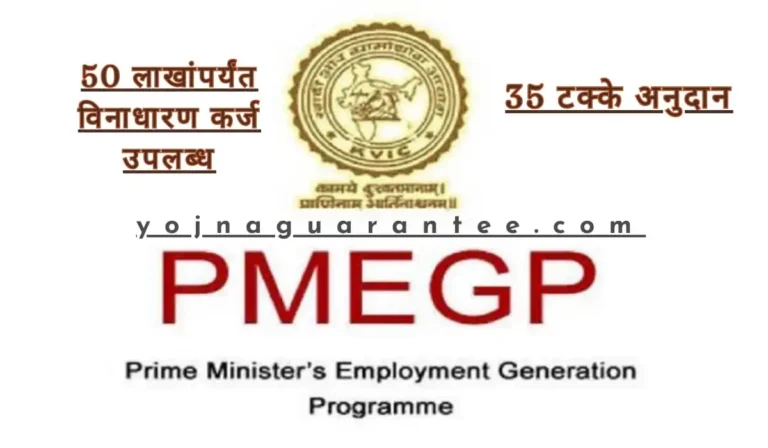 PMEGP Scheme 2024