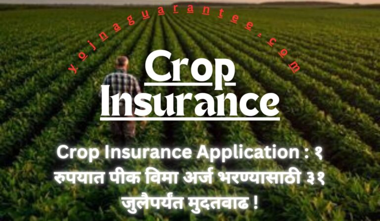 crop insurance scheme 2024