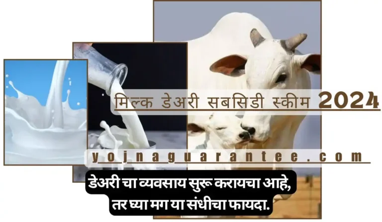 milk dairy subsidy scheme 2024