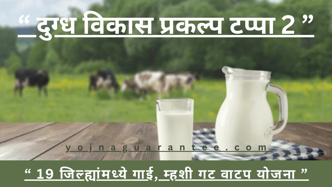 Dairy Development Project 2024