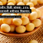 Soybean Hami Bhav 2024