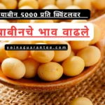 soybean price today in maharashtra