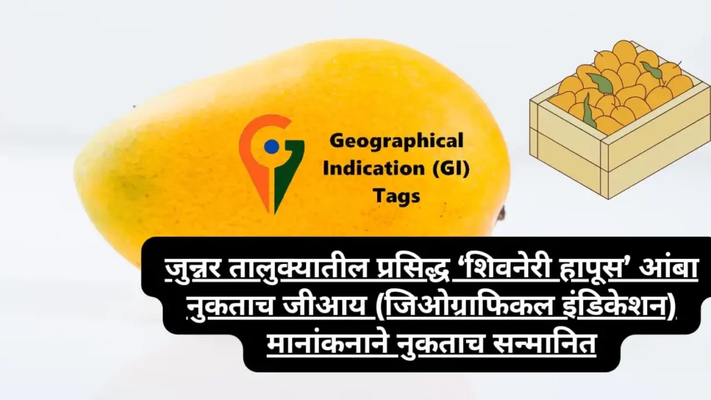 GI Tag to The Junnar Alphonso Mango